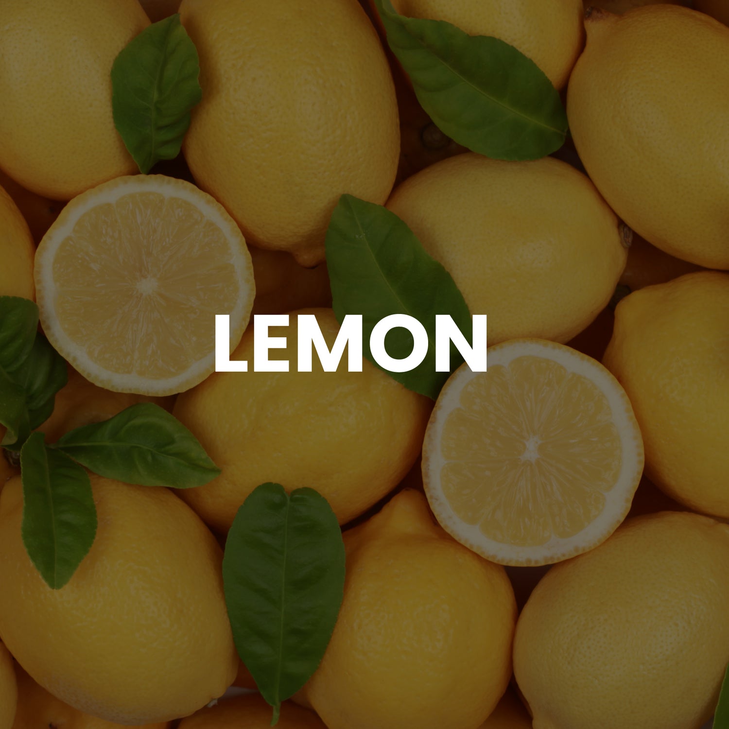 Red4 Facial Wax Strips