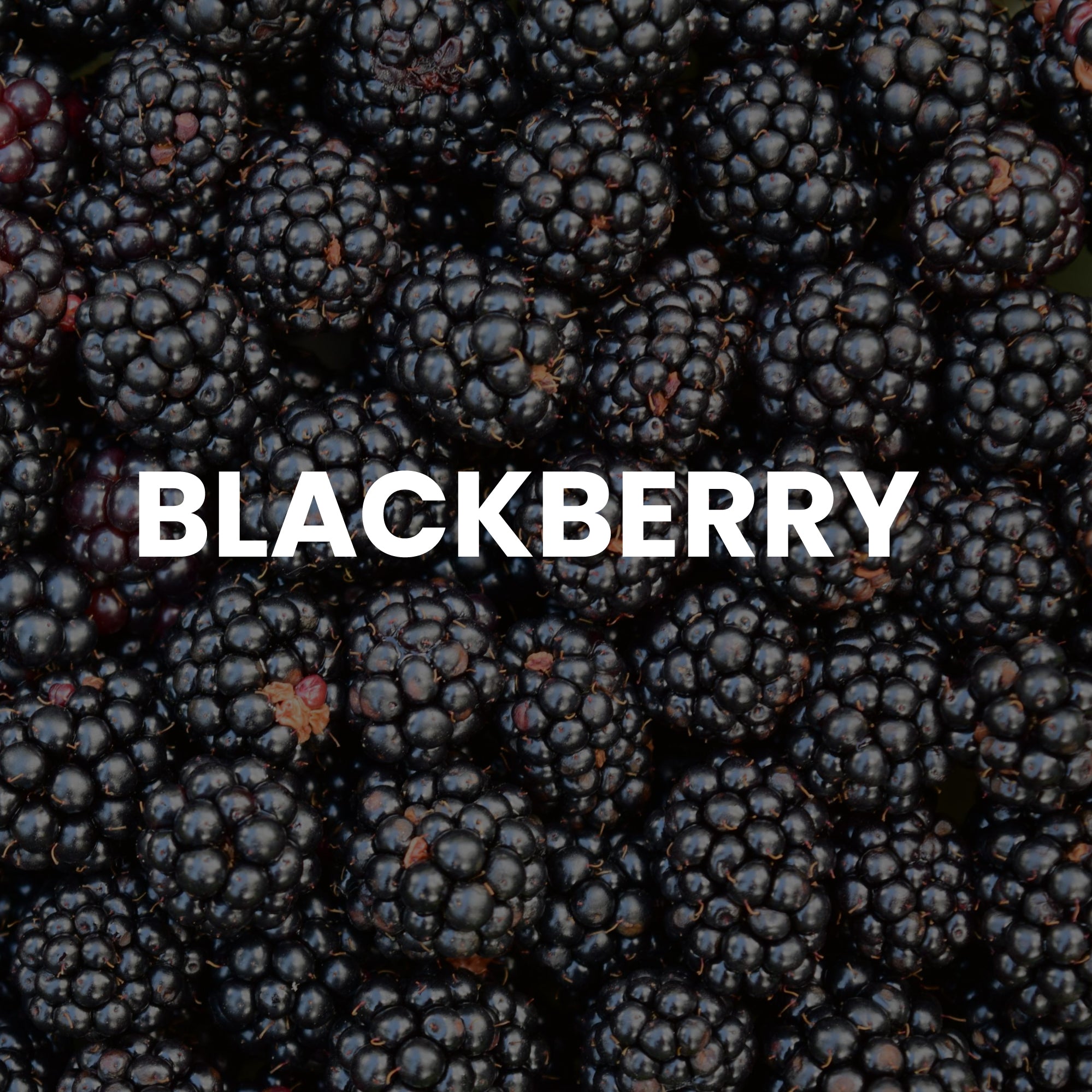 Red4 Facial Wax Strips