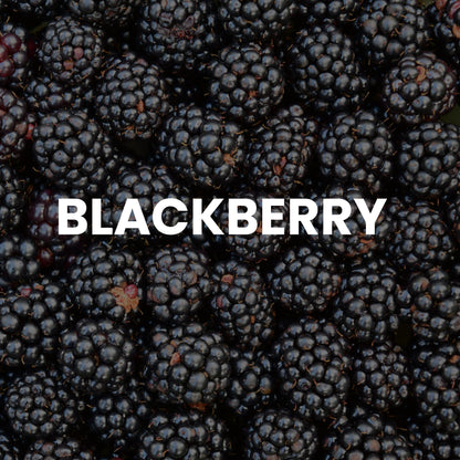 Red4 Facial Wax Strips